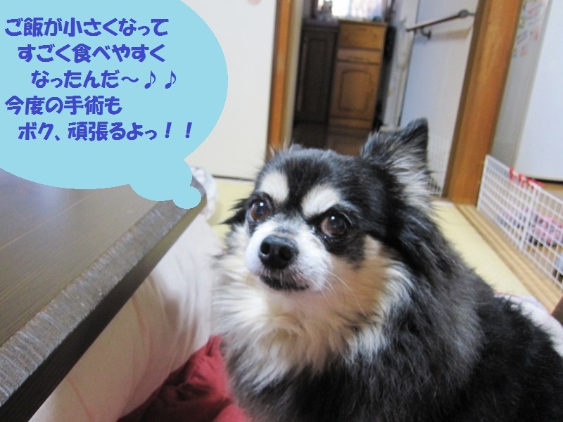b0150088_09103514.jpg