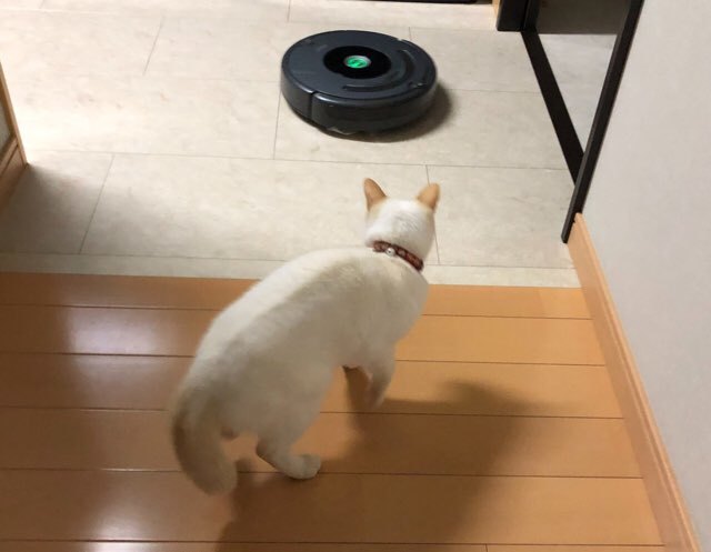 b0035391_22323421.jpeg