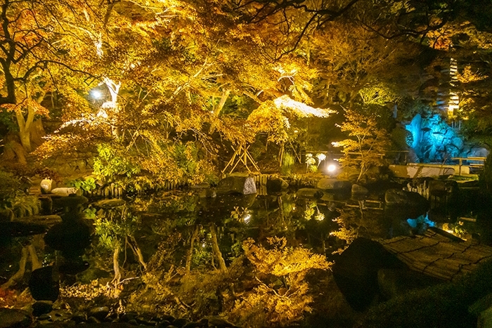 鎌倉 長谷寺の紅葉 ライトアップ_b0145398_23291297.jpg