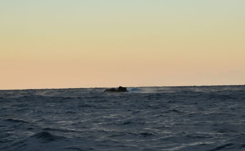 f0365700_13481969.jpg