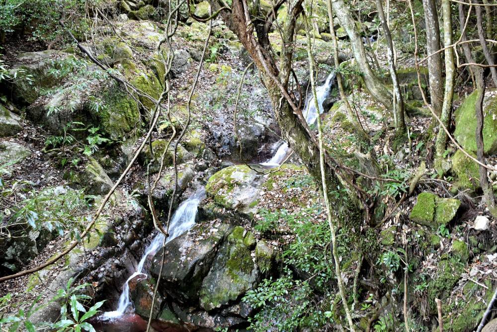 f0212511_17572214.jpg
