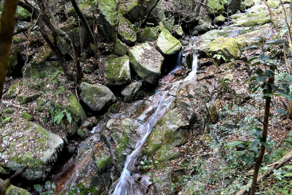 f0212511_17572852.jpg