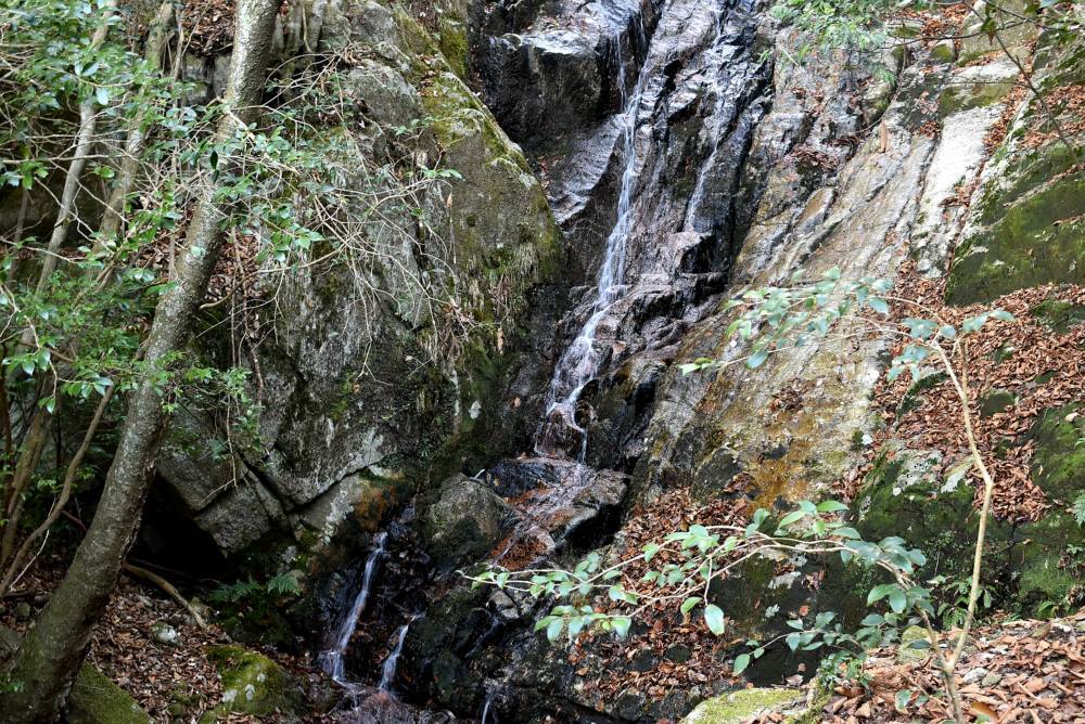 f0212511_17580375.jpg