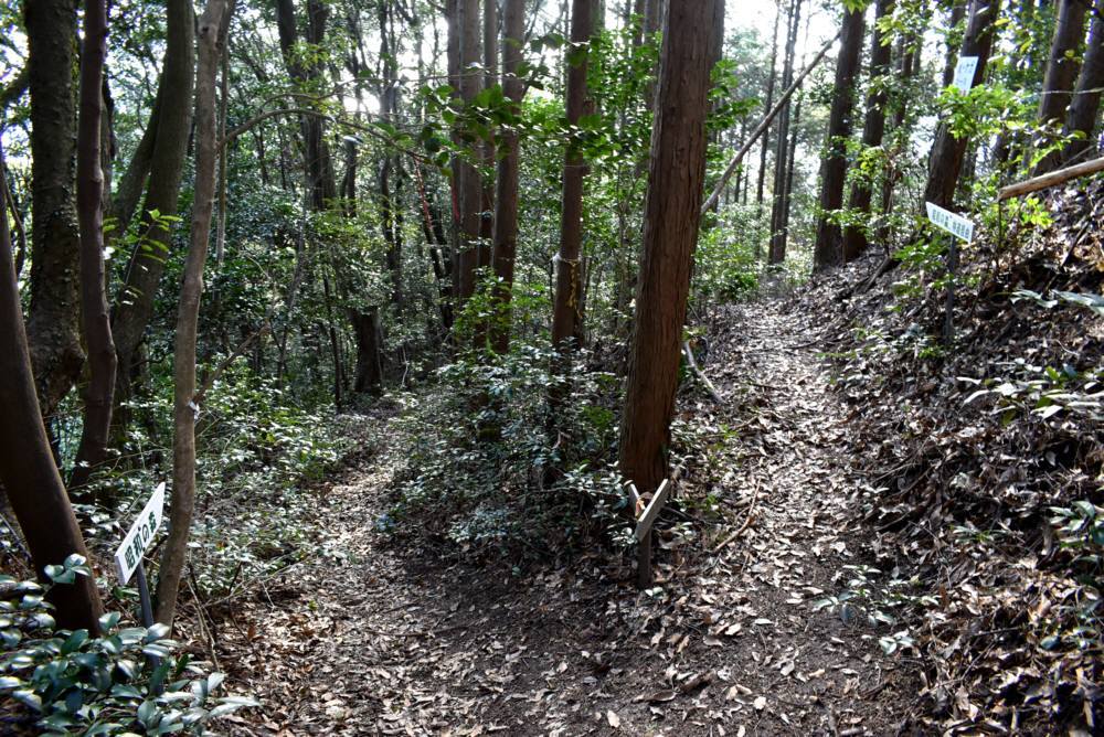 f0212511_17594398.jpg