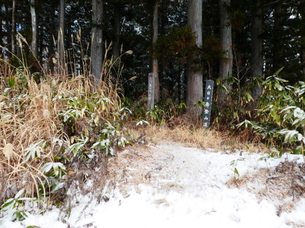 日本二百名山　雪の大日ｹ岳 (1,709.0M)   水後山登頂編_d0170615_10222633.jpg