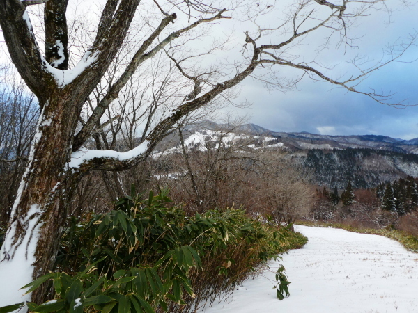 日本二百名山　雪の大日ｹ岳 (1,709.0M)   水後山登頂編_d0170615_10224279.jpg