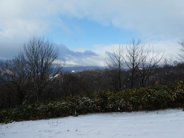 日本二百名山　雪の大日ｹ岳 (1,709.0M)   水後山登頂編_d0170615_10225822.jpg