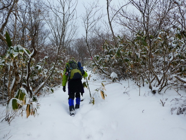 日本二百名山　雪の大日ｹ岳 (1,709.0M)   水後山登頂編_d0170615_10232575.jpg