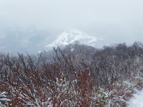 日本二百名山　雪の大日ｹ岳 (1,709.0M)   水後山登頂編_d0170615_10234937.jpg