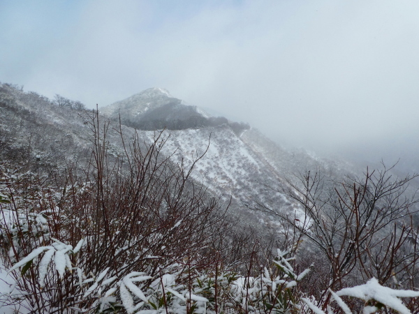 日本二百名山　雪の大日ｹ岳 (1,709.0M)   水後山登頂編_d0170615_10235688.jpg