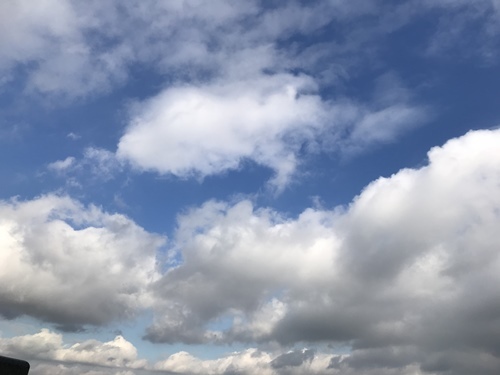 f0251618_21584610.jpg