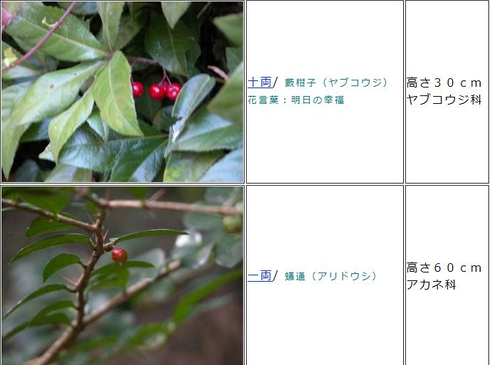 一両 十両 百両 千両 万両 ひとりごと 一両 十両 百両 千両 万両 ひとりごと
