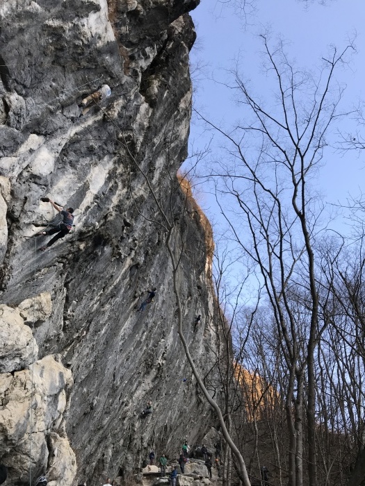 b0037220_22353139.jpg