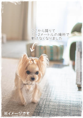 d0179828_09052597.png