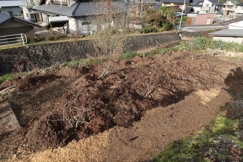 堆肥熟成とブルーベリーの越冬_f0076731_13500832.jpg