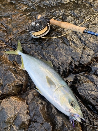 たぶん、今年最後の沖の島_b0193238_21014219.jpeg