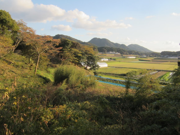 津屋崎の新原・奴山古墳群は宗像氏の奥津城ですか？_a0237545_23595627.jpg