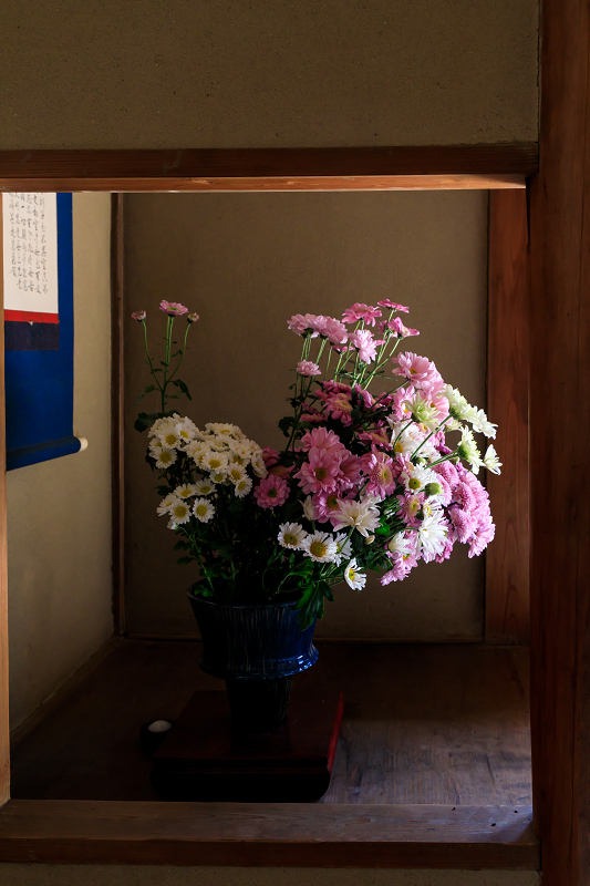 花が彩る雲龍院_f0155048_21224844.jpg