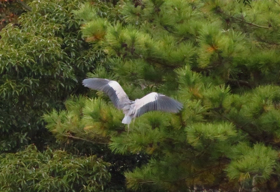 a0018655_08335457.jpg
