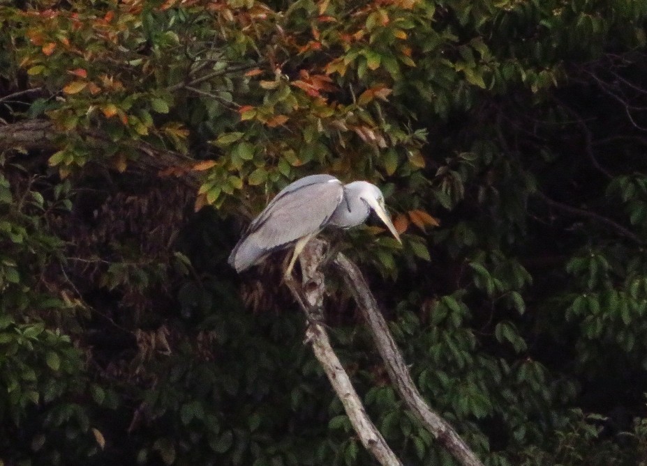 a0018655_08354219.jpg