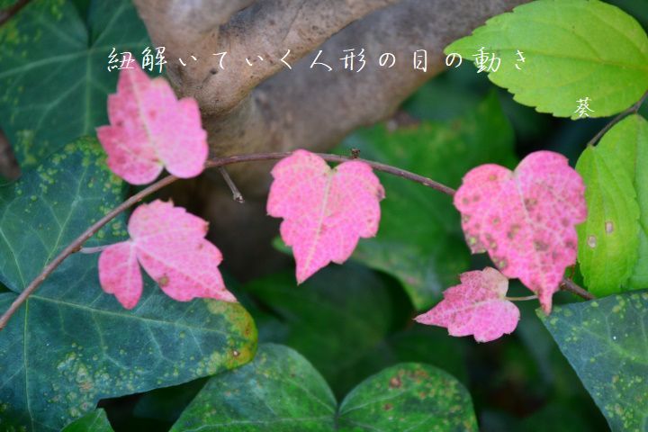 f0379160_17145683.jpg