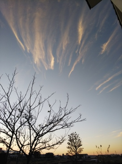 b0194267_18394486.jpg