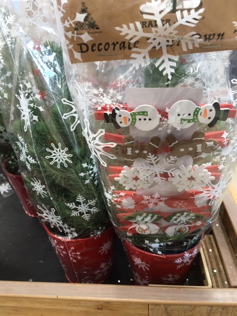 南カリフォルニアのクリスマス風景ートレジョ_e0350971_15083187.jpg