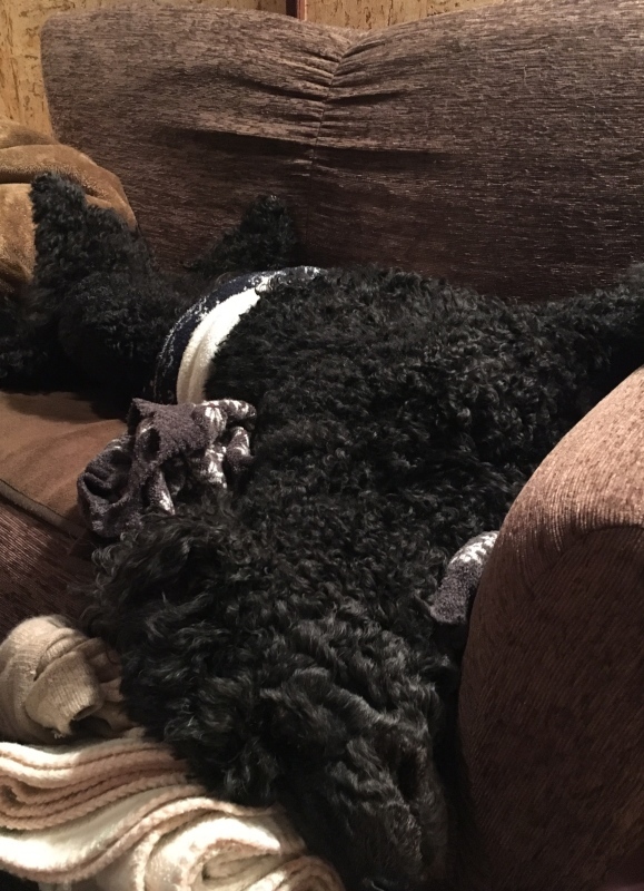 c0283778_17063198.jpeg