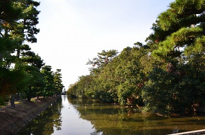c0229483_11211062.jpg