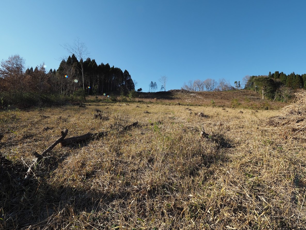 廃屋_f0197985_13061297.jpg