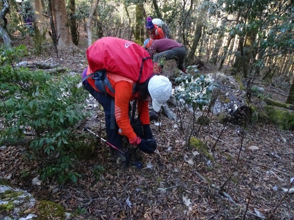 f0357487_21230288.jpeg