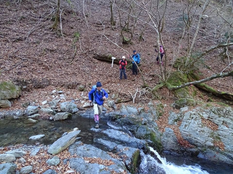 f0357487_21280740.jpeg