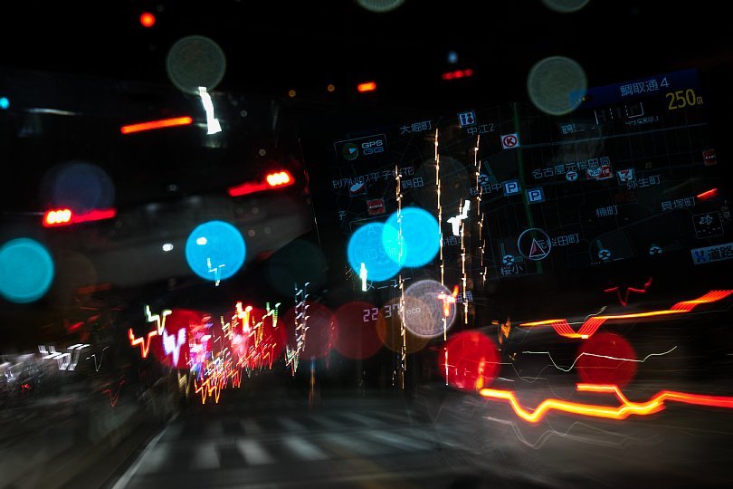 家路を急ぐ光蜥蜴_d0353489_23035961.jpg