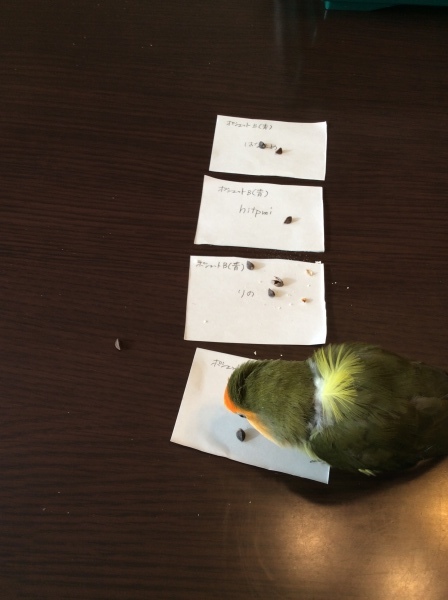 オカン防寒グッズ抽選会結果発表_d0123492_12032407.jpeg