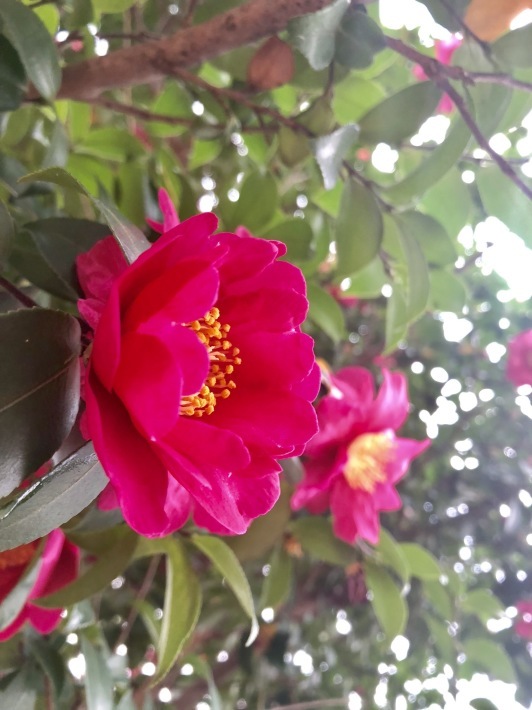 f0201297_22092461.jpeg