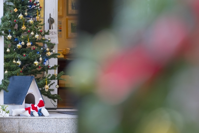 ジェイクのクリスマス 葉祥明美術館 エーデルワイスphoto