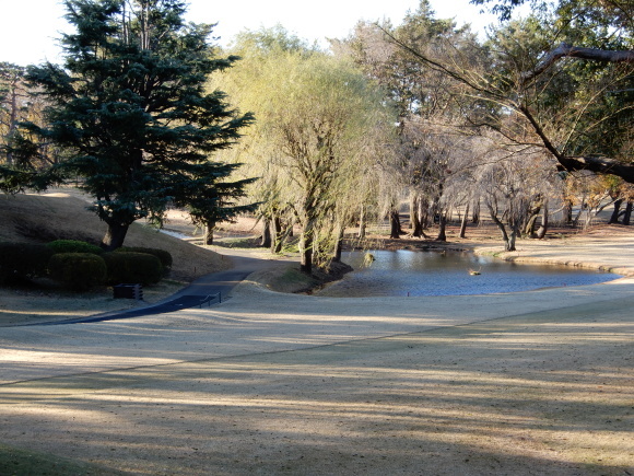 a0288500_07133157.jpg