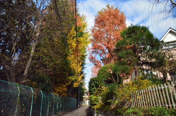 a0288500_07185554.jpg