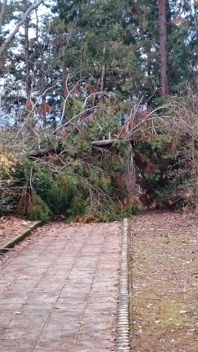 e0351303_17592609.jpg