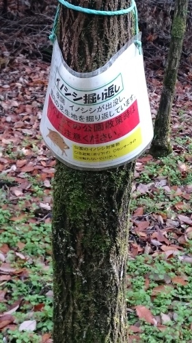 e0351303_18032619.jpg