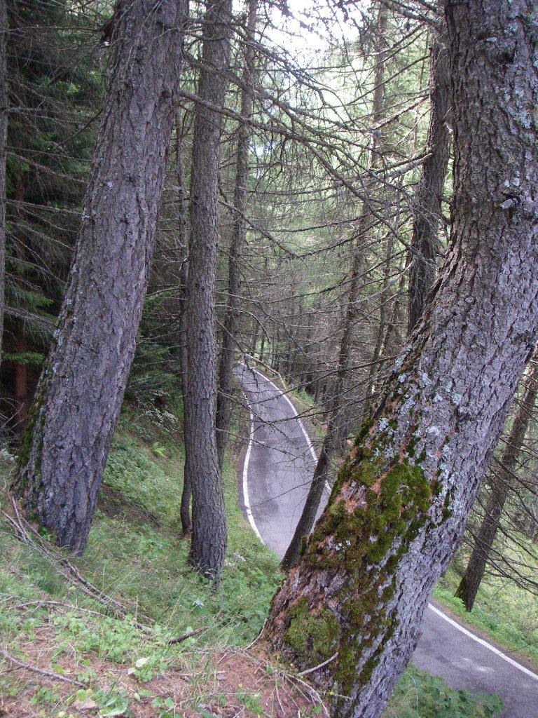 b0351506_17305797.jpg