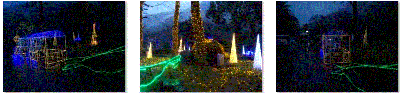 f0231709_16564839.gif