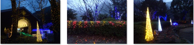 f0231709_17010529.gif