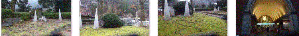 f0231709_17063191.gif