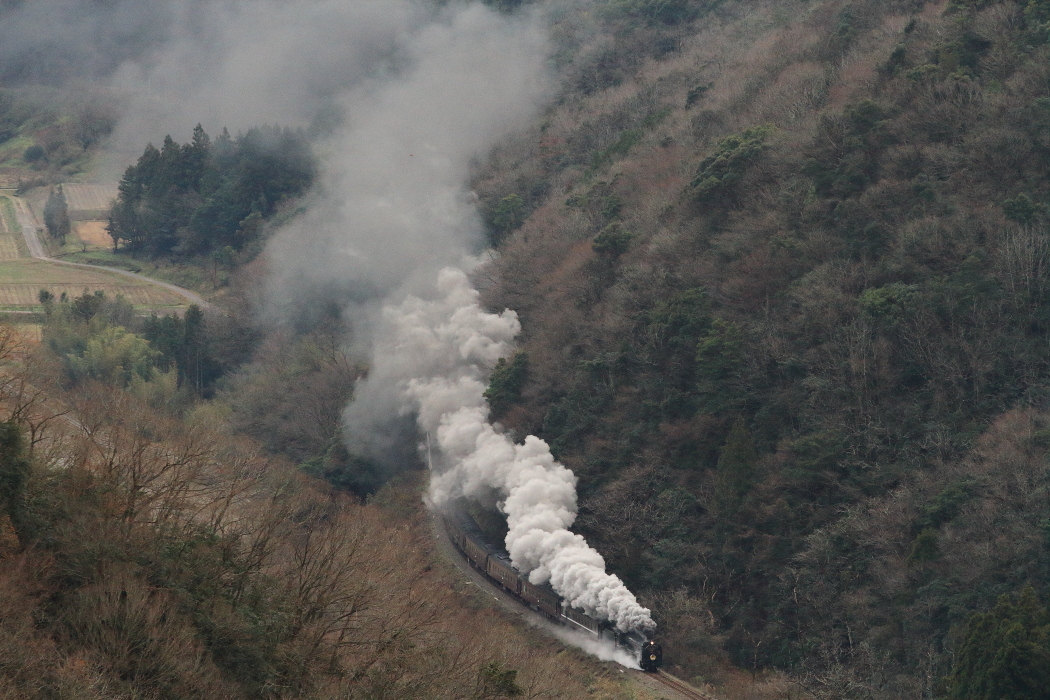 煙を残して汽車が走る_b0190710_19512643.jpg