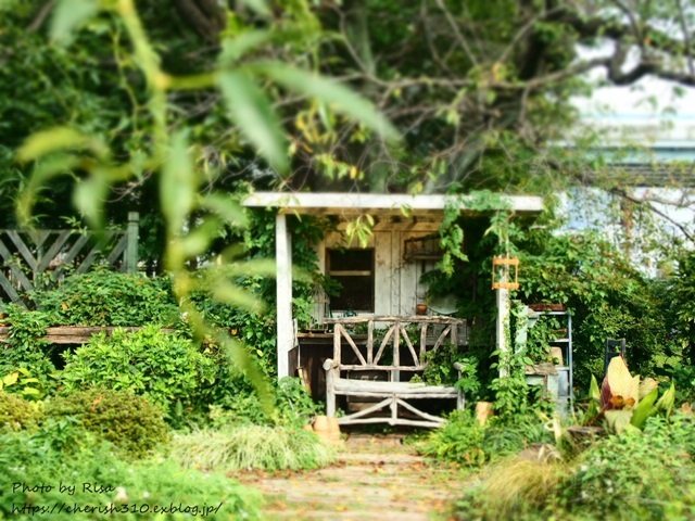 c0274618_16513766.jpg