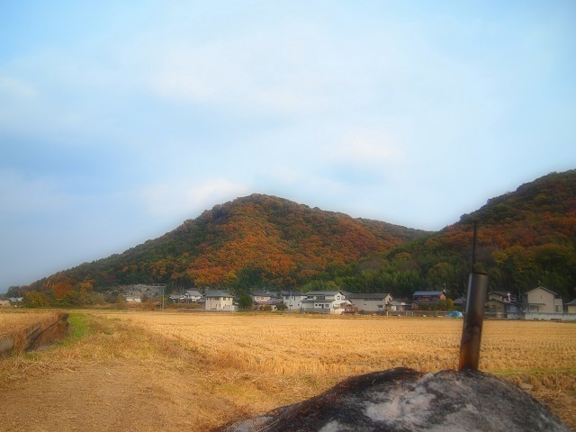 d0295818_15380603.jpg