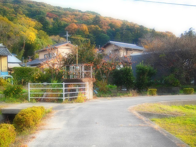 d0295818_15451758.jpg