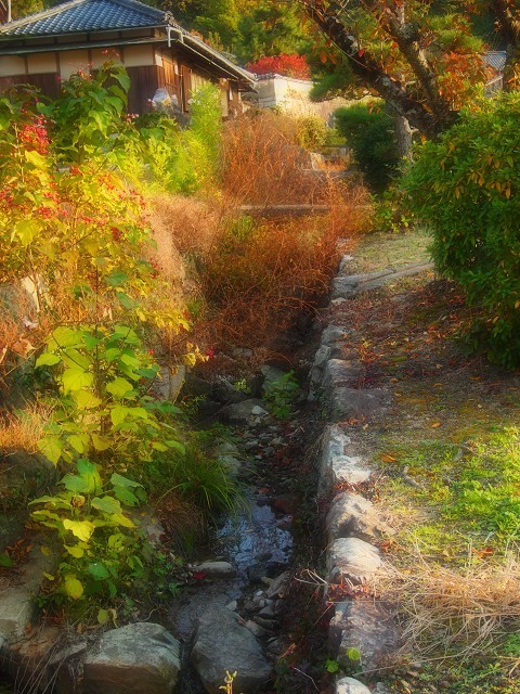 d0295818_15565809.jpg