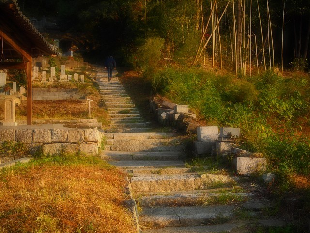 d0295818_16003055.jpg